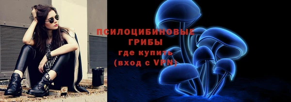 гидра Алексеевка