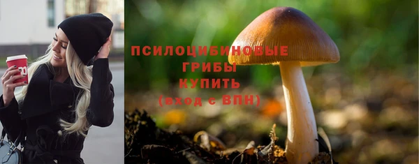 ALPHA PVP Алзамай