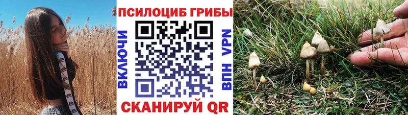 Псилоцибиновые грибы прущие грибы  где можно купить наркотик  Кувшиново 