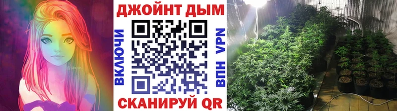Канабис сатива Кувшиново